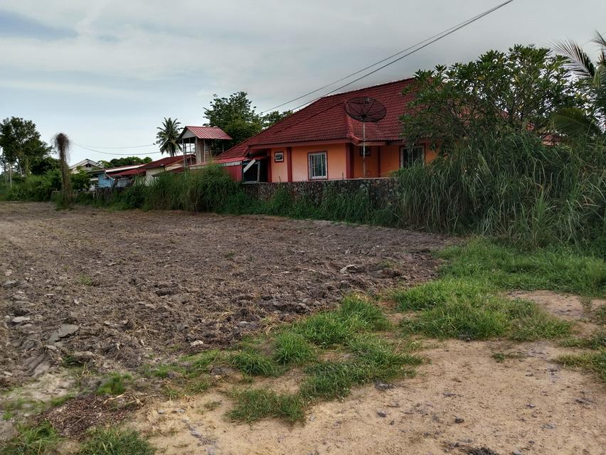 ขายบ้านตะเคียนเตี้ยจำนวน 1 ไร่บ้านพร้อมสิ่งปลูกสร้าง 15