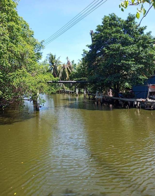 ขายที่ดินถมแล้วติดคลองพระสะทึงและติดถนนสาธารณะ เนื้อที่ 41 ไร่เศษ (แบ่งขายได้)  ต.สระแก้ว อ.เมือง จ.สระแก้ว 1