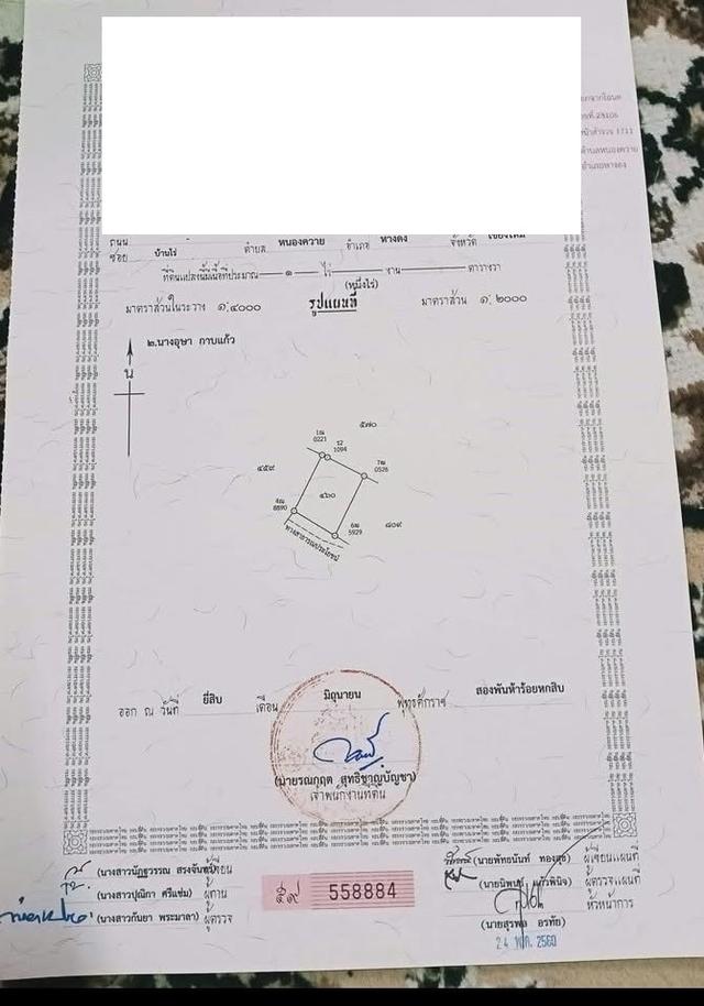 ที่ดินสวนลำไย ต.หนองควาย อ.หางดง 10