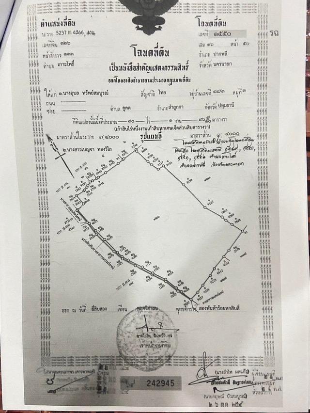 ที่ดิน วิวเขา นครนายก 90 ไร่ ราคา 40.5 ล้าน 1