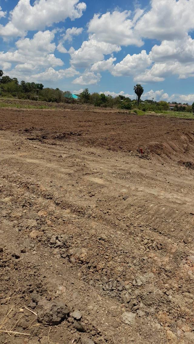 land for sale ขายที่ดินสวยมาก กำแพงแสน แบ่งขายได้ โฉนดพร้อมโอน 200 ตรว แบ่งขายได้ 7