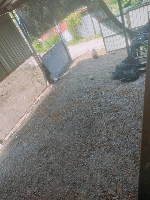 โกดังสองชั้นนนทบุรีเจ้าของขายเอง 6