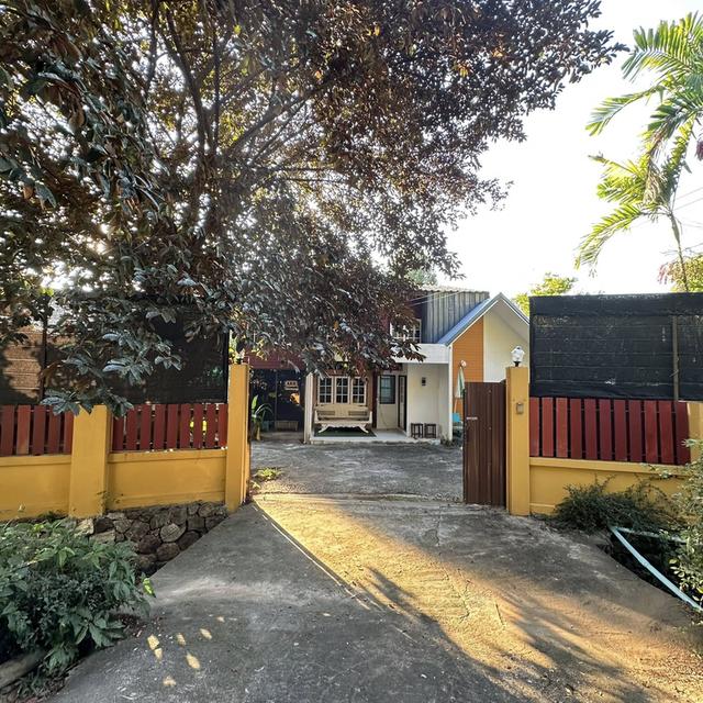 🏡 บ้านไม้กึ่งปูนสไตล์โฮมมี่ ที่ดินกว้าง 160 ตร.ว.! #หางดง ทำคาเฟ่ได้ Cozy Wood-Concrete House for Rent - 160 sq.w., Cafe Friendly! 1