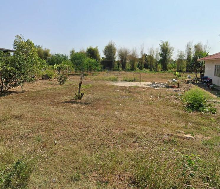 ขายที่ดินท่าตูม 261 ตรว. ติดถนนบ้านโคกไม้แดงซอย2 ใกล้ถนนสี่เลนเส้น3079-170เมตร ใกล้นิคม304-5กม. อ.ศรีมหาโพธิ ปราจีนบุรี 3