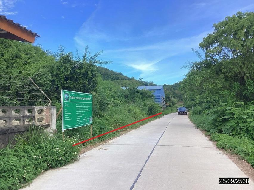 ที่ดินชุมพร ใกล้หาดทรายรีที่ดินเปล่าทำเลดีราคาคุยกันได้ 6