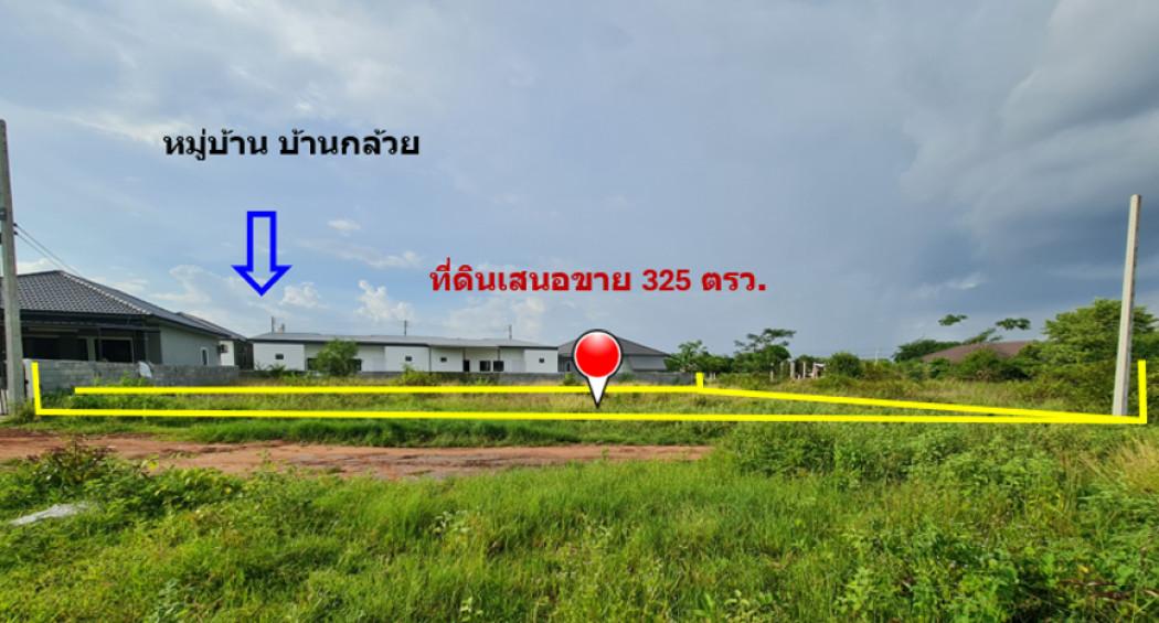 ขาย ที่ดิน ทำเลทองของย่านชุมชน บ้านกล้วย เนื้อที่ 3 งาน 25 ตรว ใกล้ตลาดสดและย่านการค้าสระครก หาของกินของใช้ใกล้นิดเดียว 6