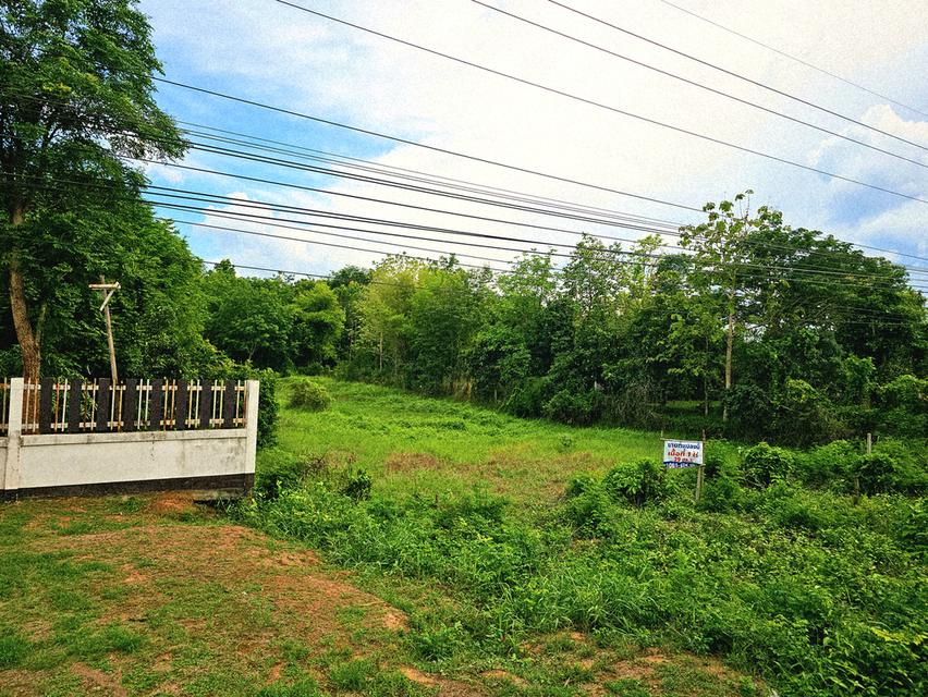 ขายที่ดิน ติดถนนใหญ่ ถนนอุดร-กุดจับ มีรถประจำทางผ่านตลอด และอยู่ใกล้แหล่งชุมชน ห้างสรรพสินค้า เดินทางไม่ถึง 20 นาที 5