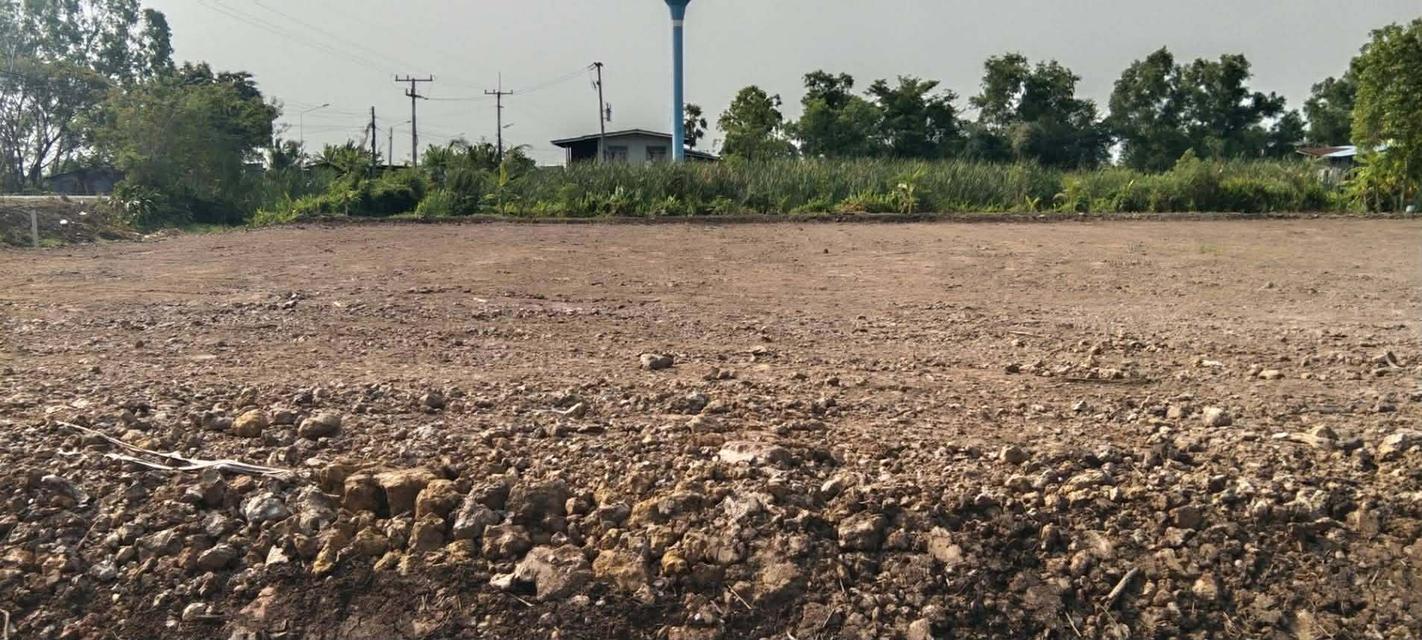 ขายที่ดินเปล่าขนาด4ไร่ 1 งา ราคา5,200,000 แถวรังสิต 3