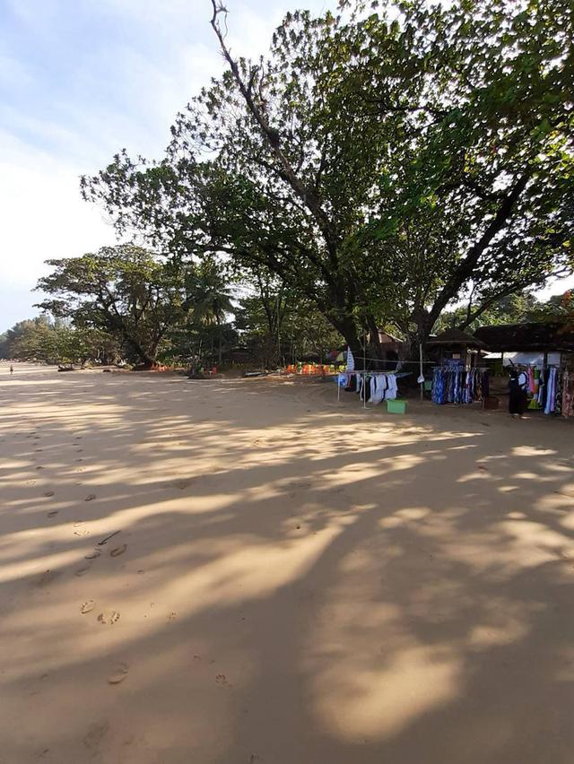 ที่ดินติดชายหาด เขาหลัก จ.พังงา 10