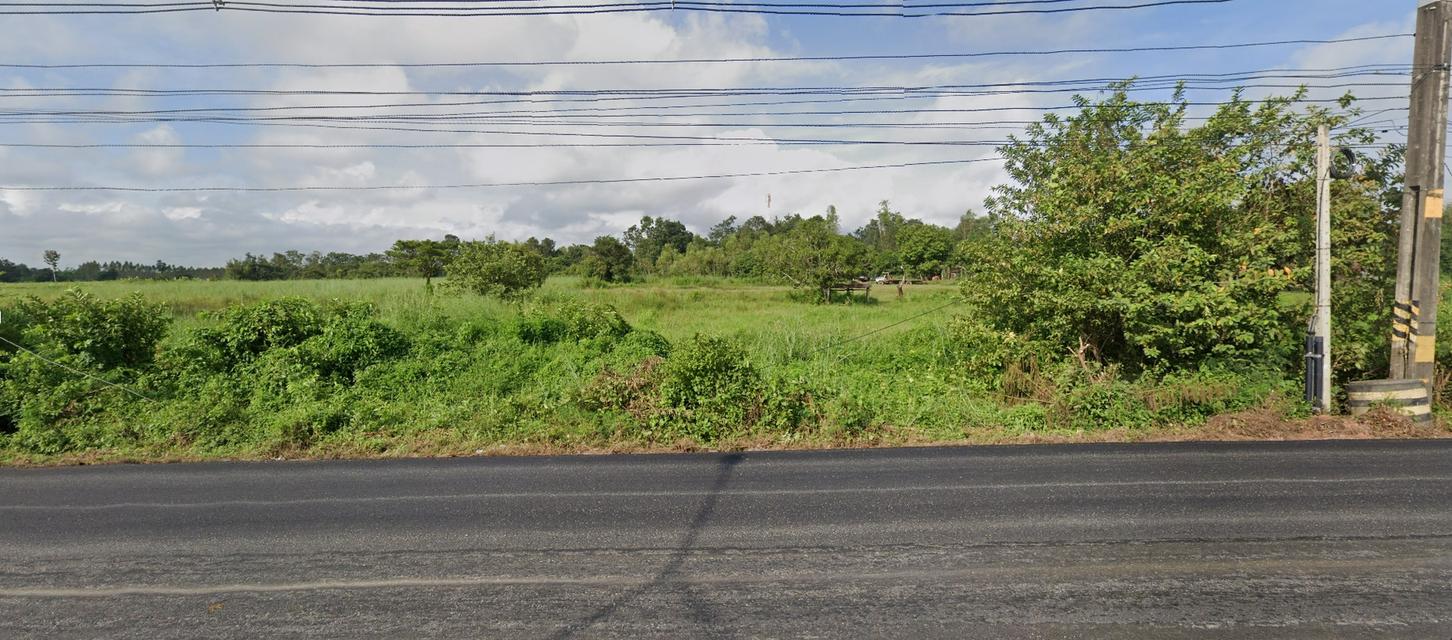 ✅ขายที่ดิน 30ไร่3งาน3ตรว. ถมแล้ว พื้นที่สีเขียว หน้าหว้าง 405ม. ถนนทางหลวงแผ่นดิน 211 หนองสองห้อง-ท่าบ่อ ตำบลบ้านเดื่อ อำเภอท่าบ่อ หนองคาย 7