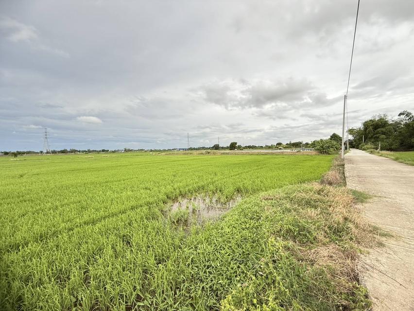 ขายที่ดินบางเตยแปดริ้ว 3 ไร่ ติดถนนคอนกรีต ใกล้ถนนวงแหวนเลี่ยงเมือง365-4กม. เมืองฉะเชิงเทรา