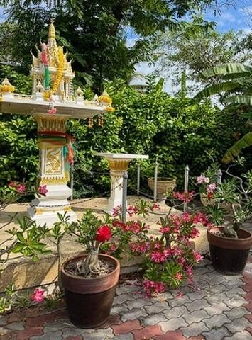ด่วน ปรับลดราคา ขายที่ดิน สิ่งปลูกสร้าง ริมแม่น้ำแม่กลอง สมุทรสงคราม ใกล้วัดแม่น้ำ ใกล้องค์การบริหารส่วนตำบลท้ายหาด มีโป๊ะ 14