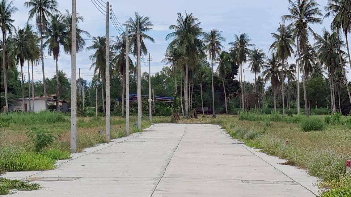 ที่ดิน THE PROPERLAND HUAY YAI 12