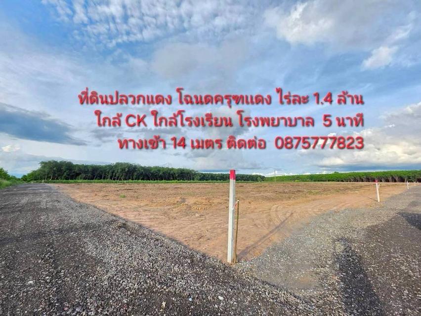 ที่ดินจังหวัด ระยอง ปลวกแดง ราคาถูก ไร่ละ 1.4 ล้านสนใจต่อลองได้คะ