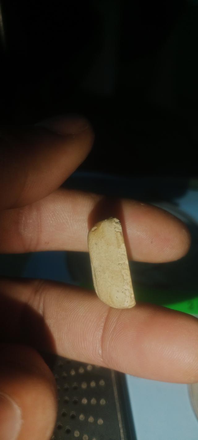 พระ ปต หลวงพ่อแก้ววัดเครือวัลย์ชลบุรีเนื้อผงพุทธคุณ รูปที่ 5