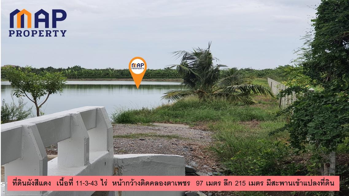ที่ดินผังเมืองสีชมพู สมุทรสาคร 4