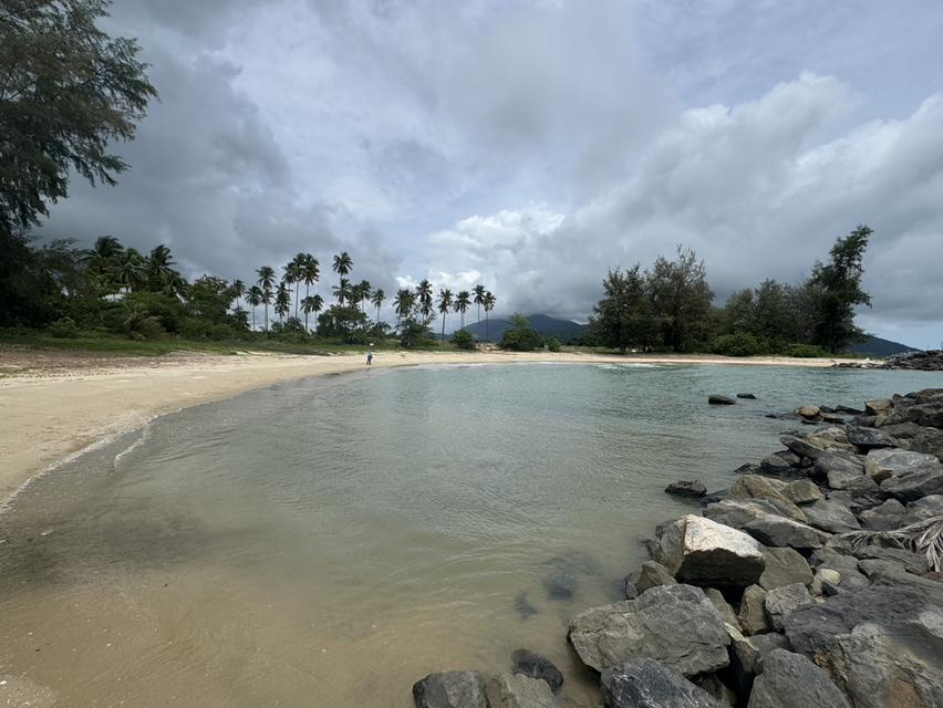 ที่ดินติดชายหาดสวยงาม อำเภอสิชล จังหวัดนครศรีธรรมราช ขนาด 5 ไร่ 266 ตารางวา ราคา ไร่ละ 7 ล้านบาท  ที่ดินผืนงามติดชายหาด  11