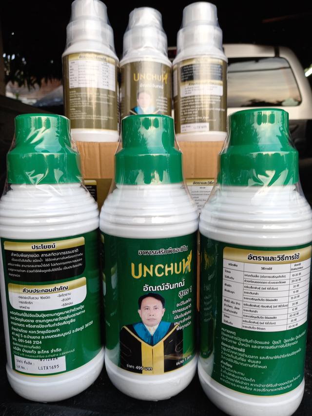 อาหารเสริมพืชอะมิโน อัณณ์จันทณ์ UNCHUN รูปที่ 8