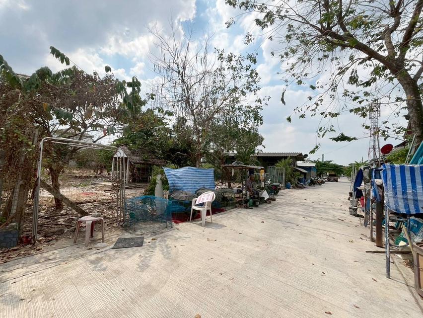 ขายที่ดินเปล่า ซอยรามอินทรา5 แยก22 บางเขน กรุงเทพมหานคร 3