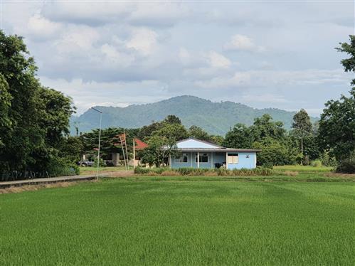 ที่ดิน เหาะสร้างบ้าน ราคาถูก 1