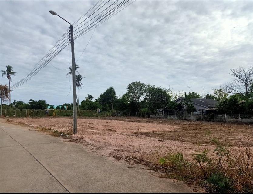 ที่ดินเเปลงสวยเขามะกอก13 พัทยา 2