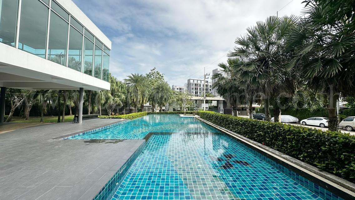 ทาวน์โฮม ซิตี้เซนส์ ศาลายา - พุทธมณฑล หลังริม ราคาถูกที่สุดในโครงการ 18