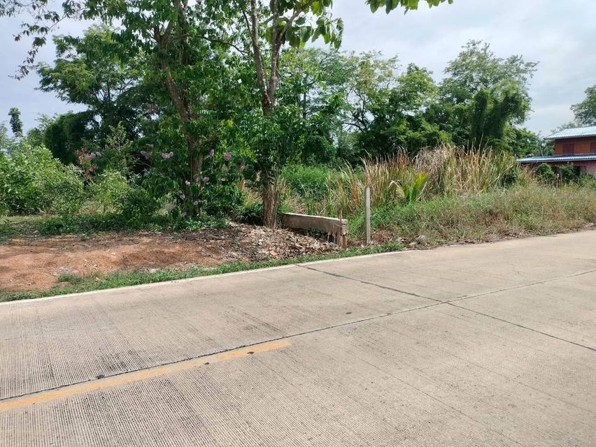 ขายด่วนที่ดินใกล้วัดสโมสร 100 ตรว ติดถนนสาธารณะ ถมแล้ว บึงบอน7 หนองเสือ ปทุมธานี 12