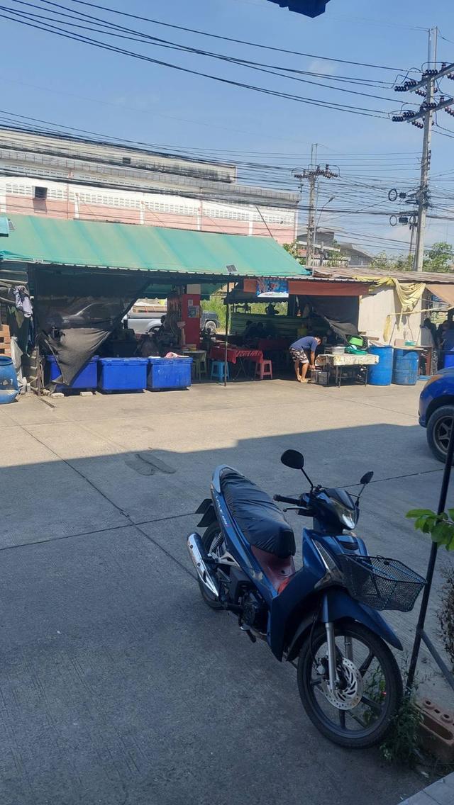 อาคารพานิชย์ เทียนทะเล19 ทำเลดีค้าขาย โกดัง 2