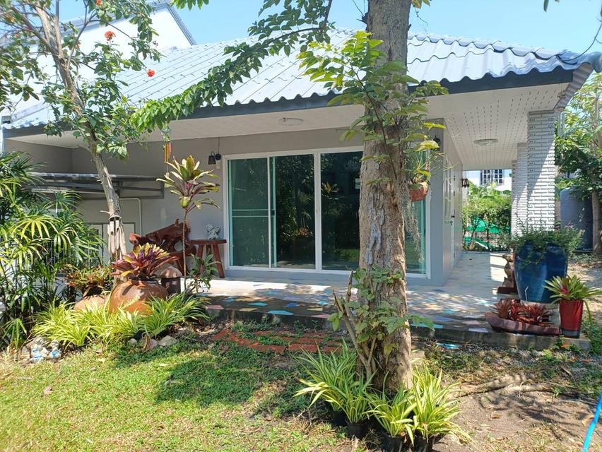 บ้านเดี่ยวให้เช่าใกล้ทะเลตกแต่งใหม่ทั้งหมดพร้อมเข้าอยู่ บรรยากาศดี ศรีราชา ชลบุรี 2