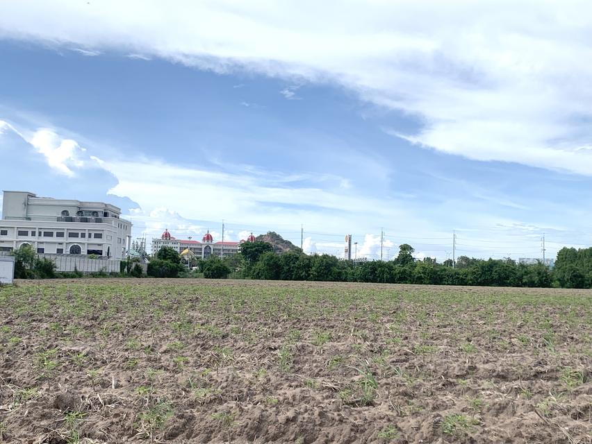 ขายที่ดินใกล้ถนนข้าวหลาม แบ่งขาย 6ไร่ ติดทาง 2ด้าน ตรงข้ามโรงเรียนสารสาสน์วิเทศบูรพา ที่ดินเข้า-ออกได้หลายทาง แบ่งขาย 6ไร่ ไม่ต้องถมทำเลที่พักอาศัย 10