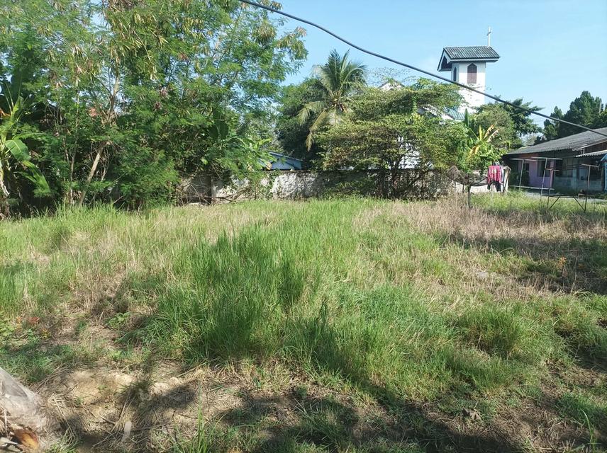 ขายที่ดิน 110ตร.ว. ต.ป่าป้อง อ.ดอนสะเก็ด จ.เชียงใหม่ 5