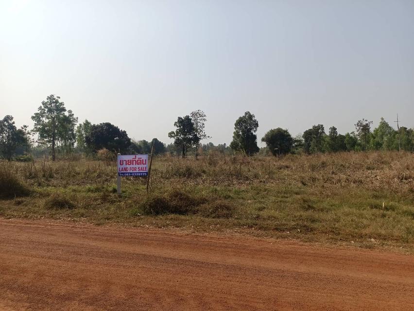 ขายที่ดินจังหวัดอุดรธานี หนองหาน บ้านดอนกลอย พิบูลย์รักษ์ 4