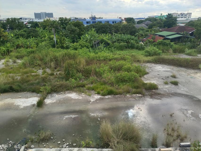 ขายด่วน ที่ดินติดรถไฟฟ้าย่านมีนบุรี รามคำแหง187/3 4