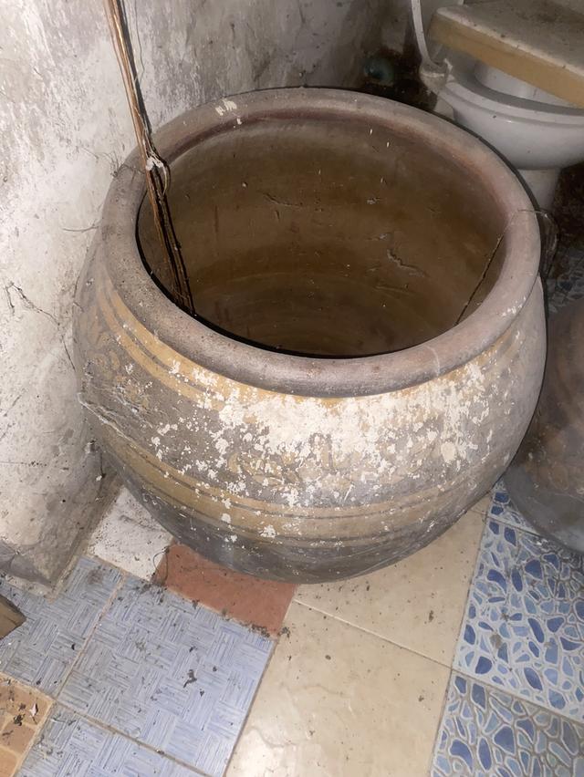 โอ่งมังกรเก่าหลาบใบราคากันเอง รูปที่ 9