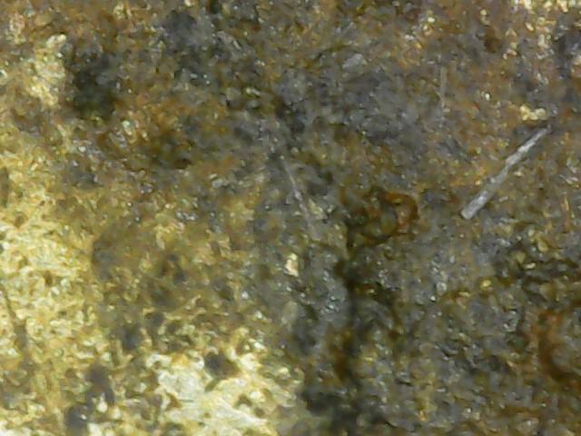 หลวงพ่อเงิน พระแท้ทันยุคหลวงพ่อเงินปลุกเสก รูปที่ 15