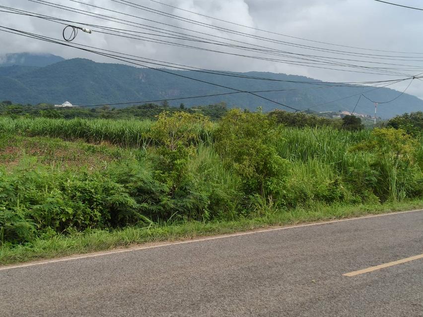 ขายที่ดินโป่งตาลอง เขาใหญ่ ติดถนนใหญ่เส้นทองอุไร 2213 หนองขี้ตุ่น ที่ดิน 18.5-39 ไร่ วิวเขาใหญ่สวยชัดมาก ใกล้ทอสคาน่า Toscana เส้น 3052 แปลงนี้สวยมาก 3