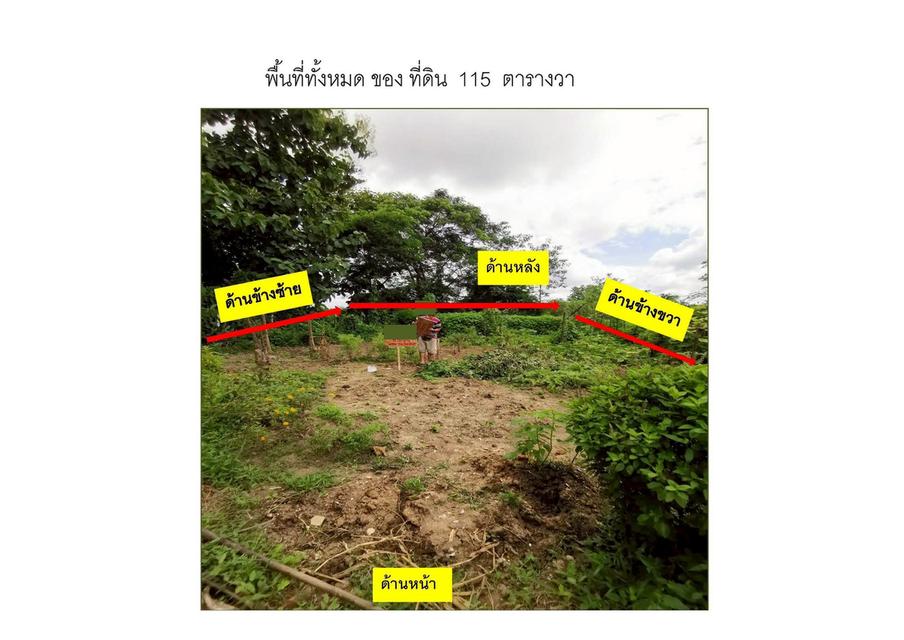 ขายด่วน‼️ ที่ดินโฉนด 116 ตร.ว. สันกำแพง เชียงใหม่ ใกล้วัดกอสะเลียม เจ้าของขายเอง ราคาถูกมาก 3