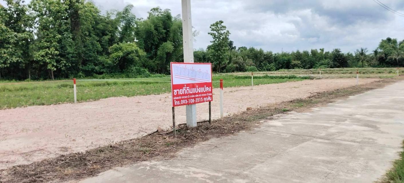 ขายที่ดินเปล่าแบ่งแปลงราคาถูกถมดินแล้ว 11