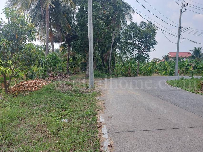 ที่ดินเปล่า 2 - 1 - 61 ไร่ ซอยบางรักใหญ่ 1 นนทบุรี ทำเลดี 5