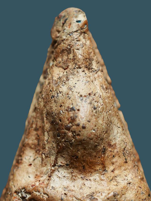 พระนางพญาพิษณุโลก  พิมพ์เข่าโค้ง....เก่า เดิมๆ สวยแชมป์ 7