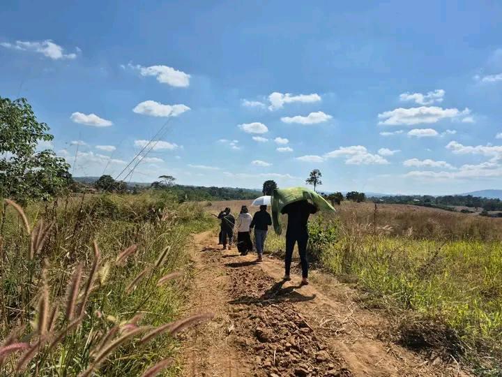 ที่ดิน เปล่า 23 ไร่ หลังอำเภอวังน้ำเขียว บ้านน้ำซับ 3