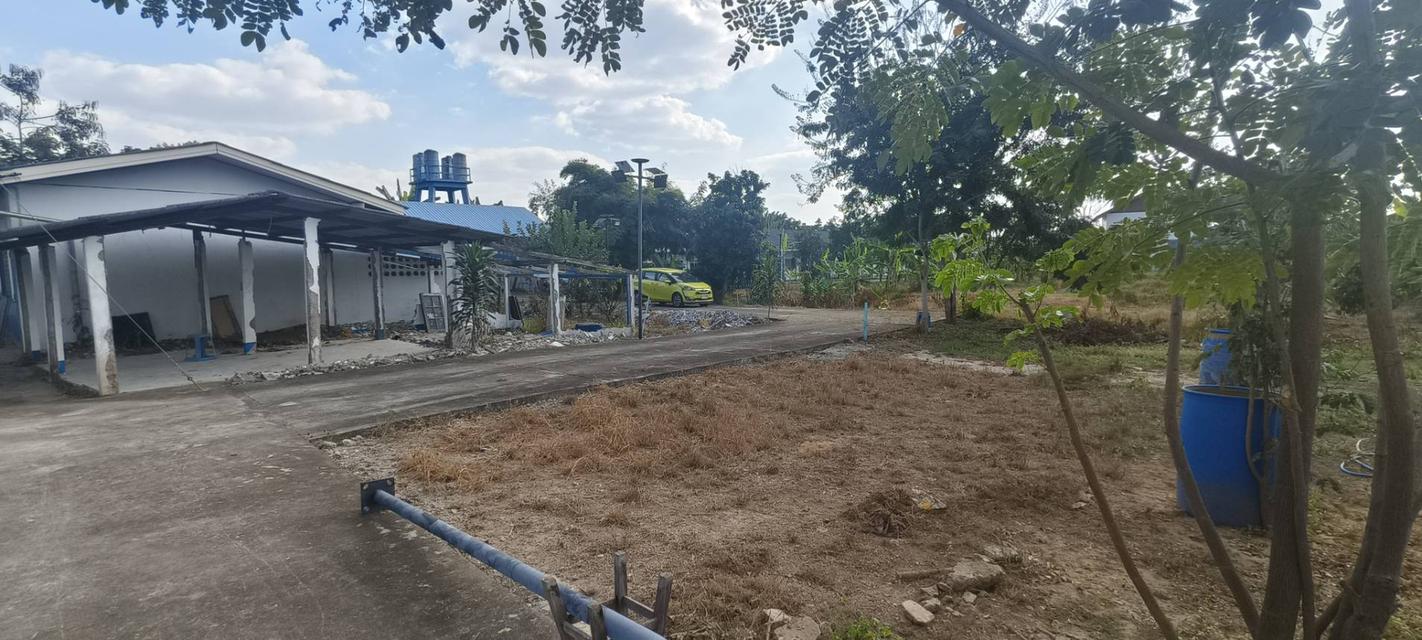 ที่ดินแปลงสวย ติดถนนเส้นหลักบ้านกลาง – ท่าวังตาล สารภี 6