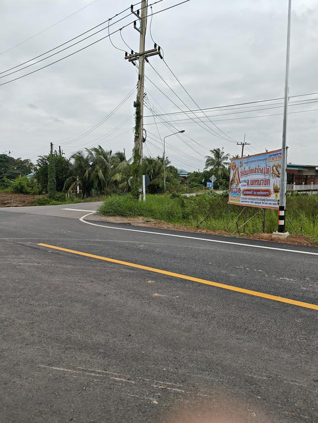 ขายที่ดิน2ไร่ ติดถนน นครนายก 7
