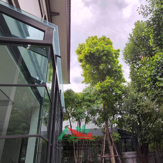 ขายบ้านเดี่ยว178.5ตรว. ม.เดอะแกรนด์ ปิ่นเกล้า บิ้วอินทั้งหลัง ยังไม่เคยเข้าอยู่ หน้าบ้านไม่ชนใคร 19