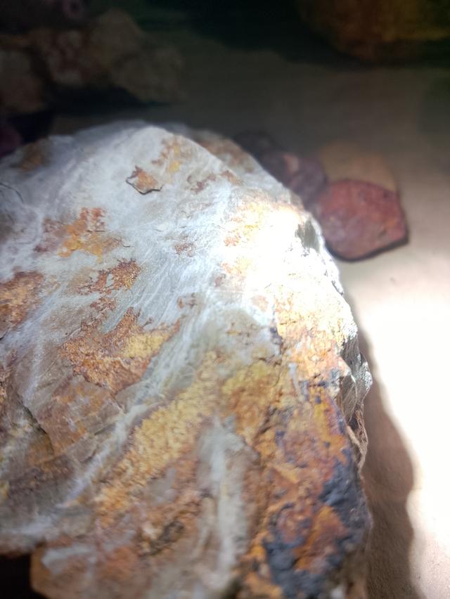 หินแร่ทองคำ อัญมนีต่างๆ รูปที่ 7