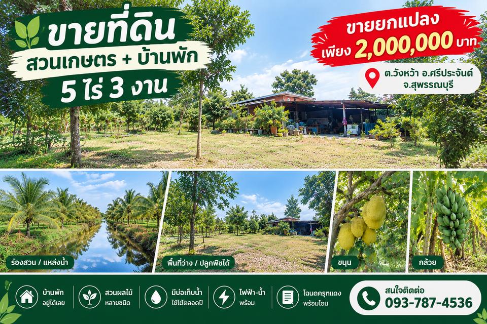 สวนเกษตร◌๋บ้านพัก5-3-0ไร่อ.ศรีประจันต์จ.สุพรรณบุรี 1