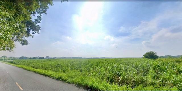 ขายที่ดินบ้านบึงชลบุรี ด่วน! ขายที่ดินชลบุรี 106-1-35 ไร่ หนองชาก-บ้านบึง ใกล้ถนน 331 พื้นที่สีเหลือง 4