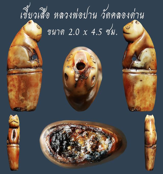 เขี้ยวเสือ หลวงพ่อปาน วัดคลองด่าน ขนาด 2.0 x 4.5 ซม. เก่าๆ