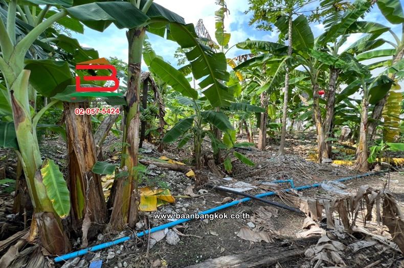 ที่ดินเปล่า เนื้อที่ 295 ตร.ว. ซอยนวมินทร์ 88, ใกล้โลตัสนวมินทร์ ถนนนวมินทร์ เเขวงคลองกุ่ม เขตบึงกุ่ม 6