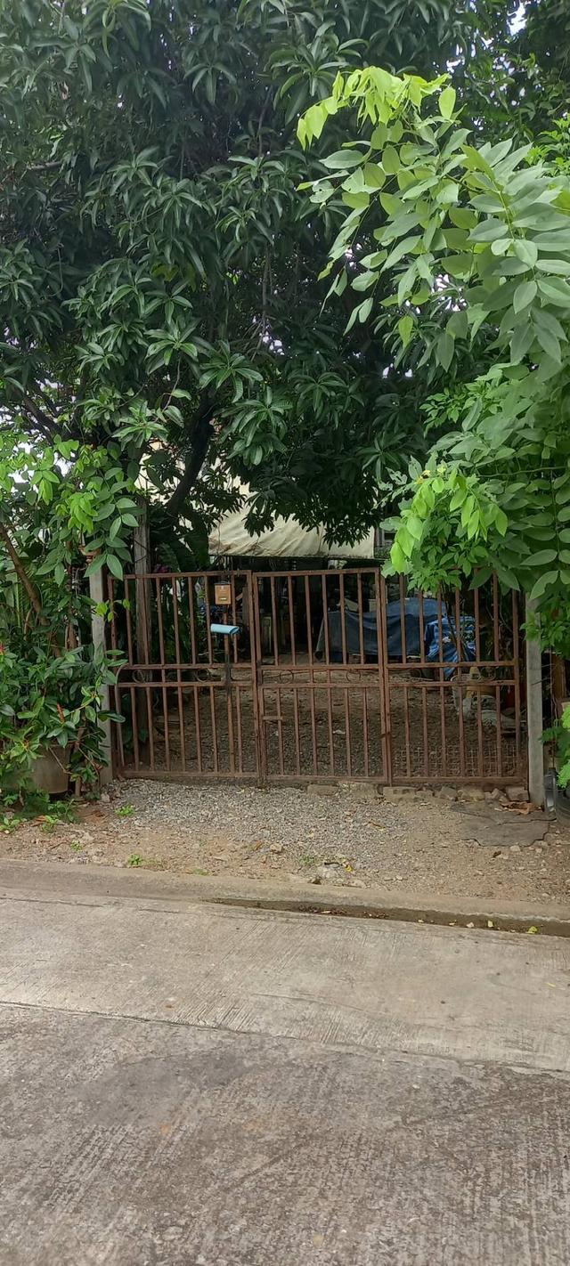 ขายด่วน! ที่ดินทำเลทอง 195 ตร.ว. ใกล้ MRT หลักสอง และเดอะมอลล์บางแค เข้าซอยเพชรเกษม 88/1 เพียง 300 ม. เหมาะสร้างบ้าน, อพาร์ทเม้นท์ หรือ Nursing Home 6